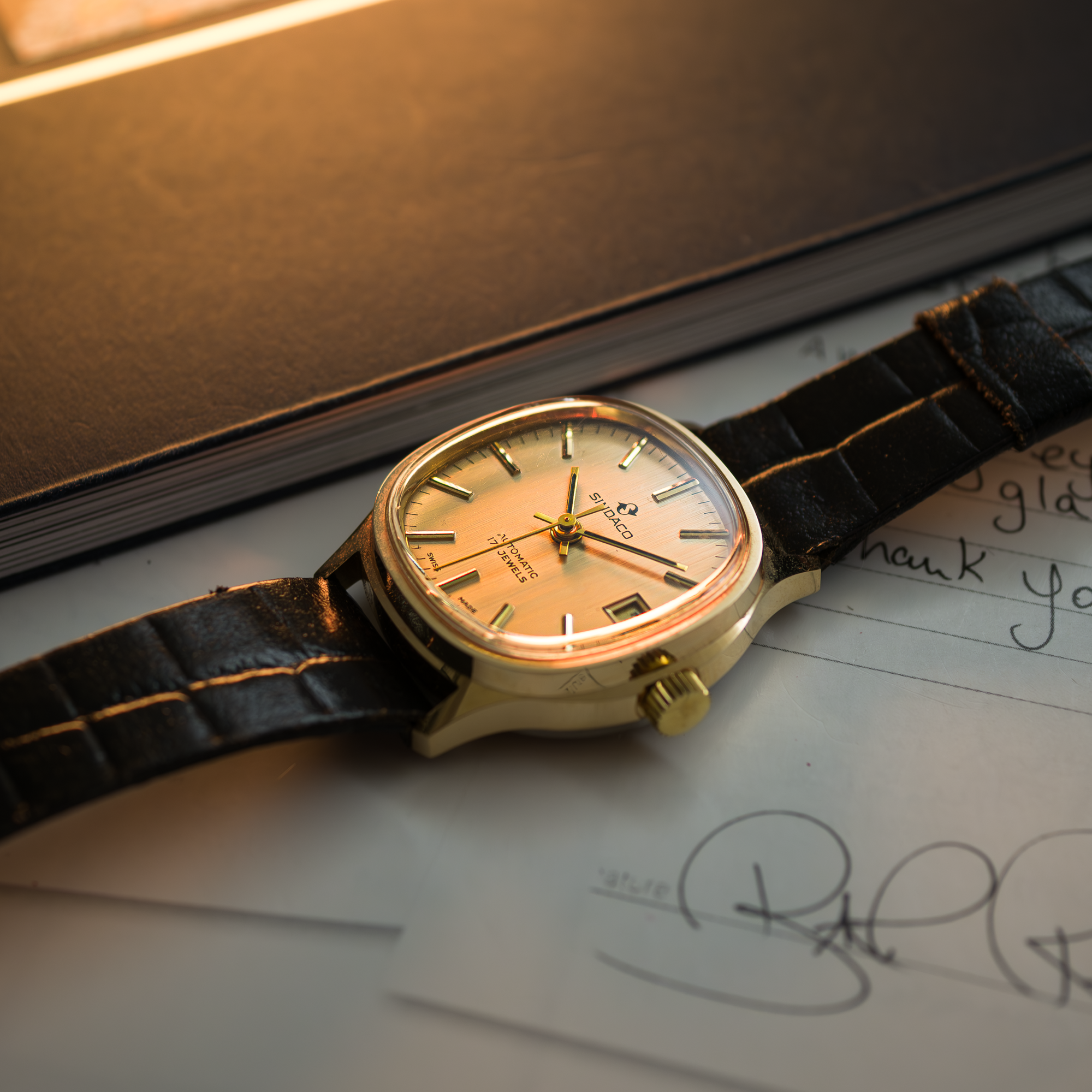 Sindaco: Automatic 17 Jewels — The Geometric Vintage