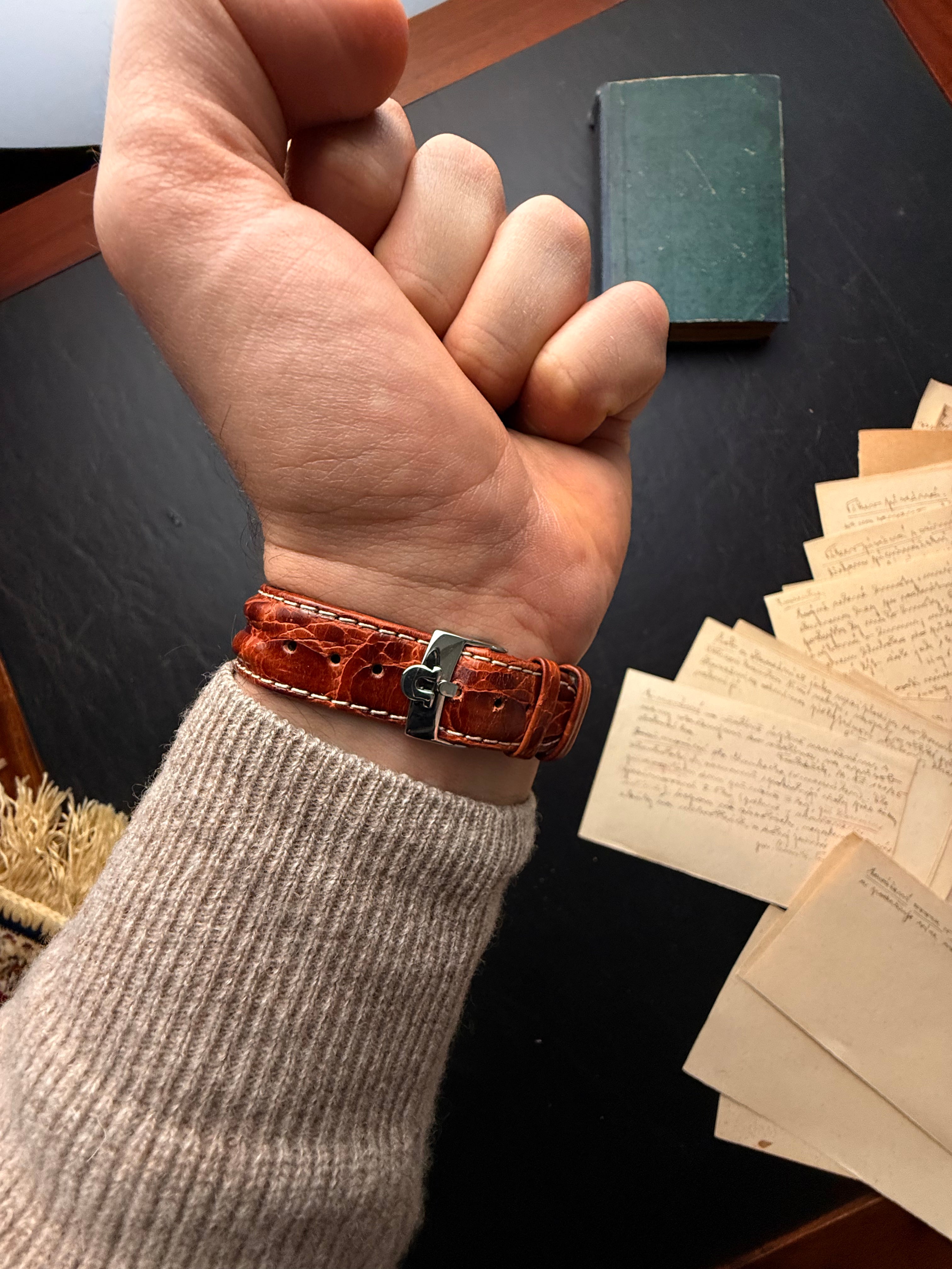 Omega Seamaster Automatic — "Silver & Saffron"