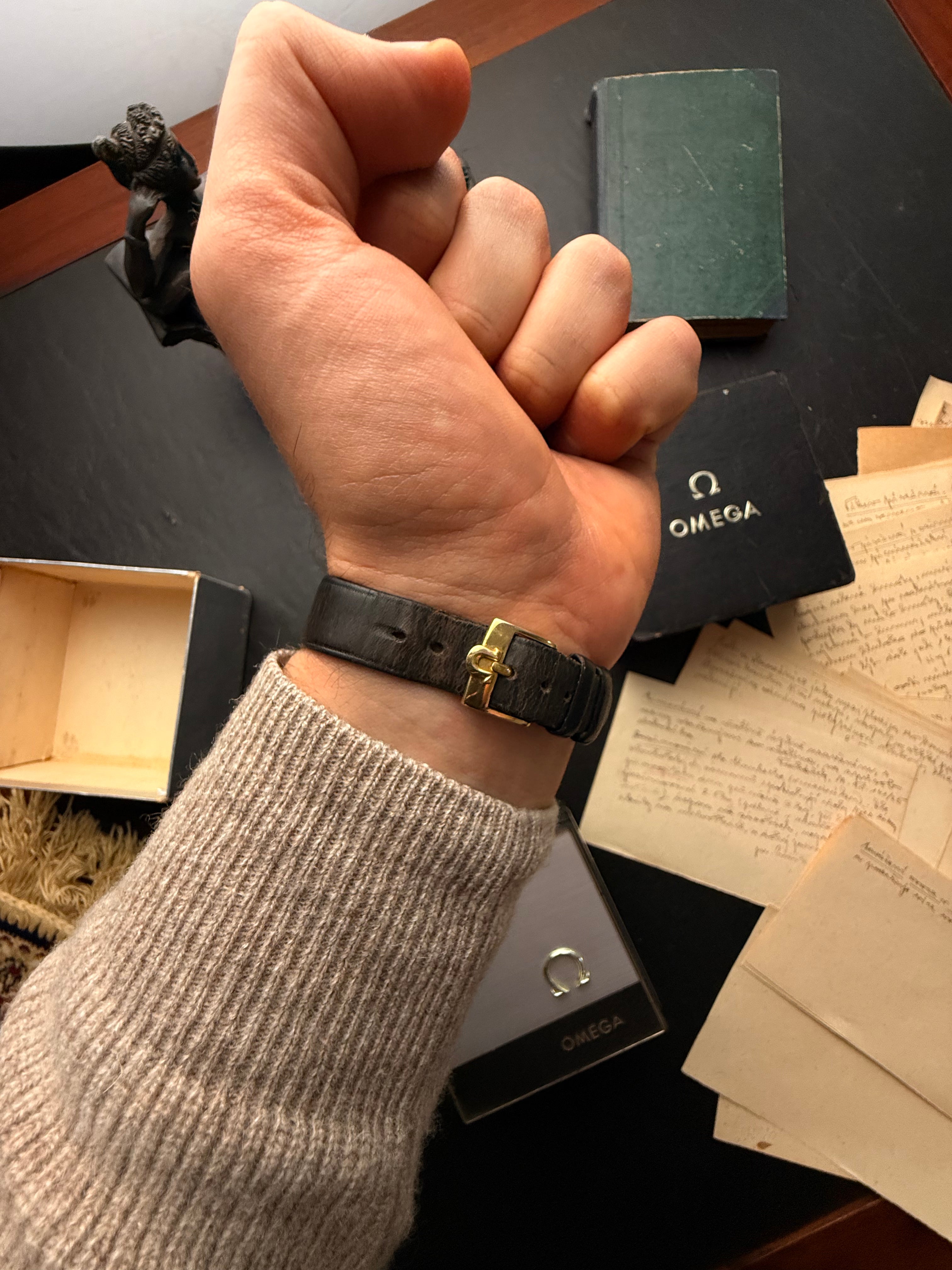 Omega Genève Automatic — "Genève Elegance"